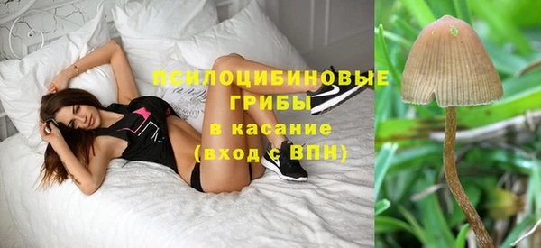 COCAINE Горно-Алтайск