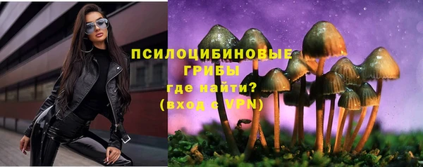 apvp Вязники