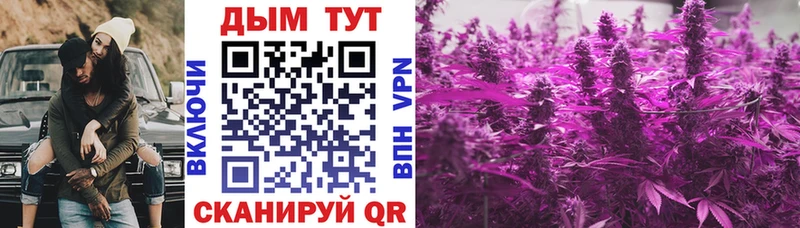 Бошки Шишки SATIVA & INDICA  наркота  Курск 